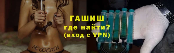 прущие грибы Магас
