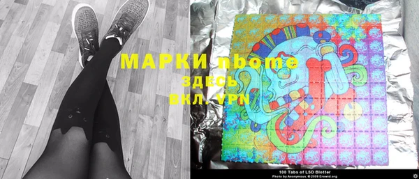 прущие грибы Магас